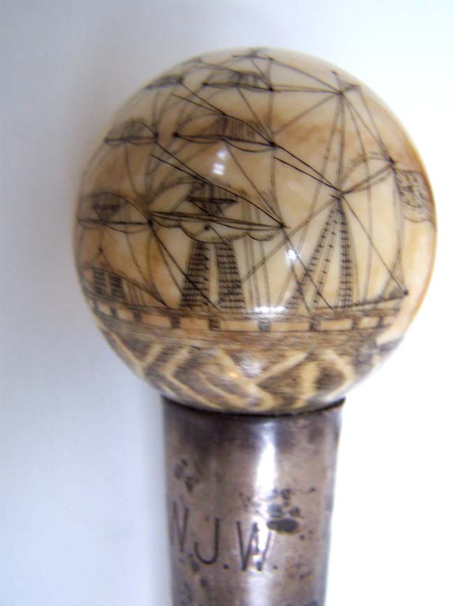 A 19th century Malacca Walking Stick with Silver Collar and ANTIQUE Scrimshawed Ivory Knob with the name 'Dundee'. — image 3